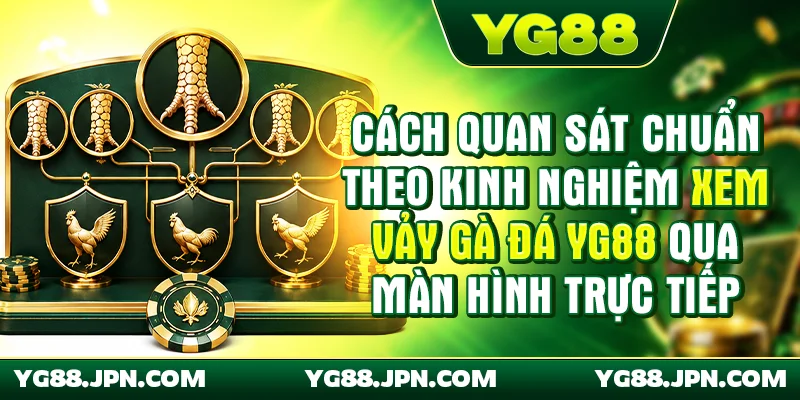Cách quan sát chuẩn theo kinh nghiệm xem vảy gà đá YG88 qua màn hình trực tiếp